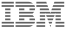 ibm-logo_gray